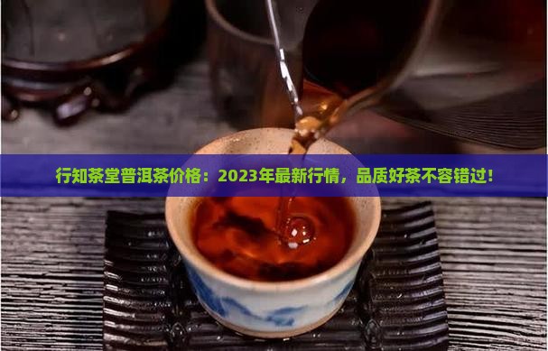 行知茶堂普洱茶价格