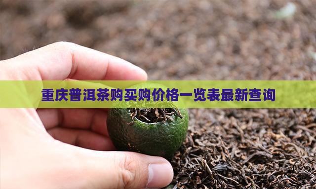 重庆普洱茶购买购价格一览表