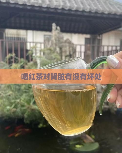 喝红茶对肾脏有没有坏处