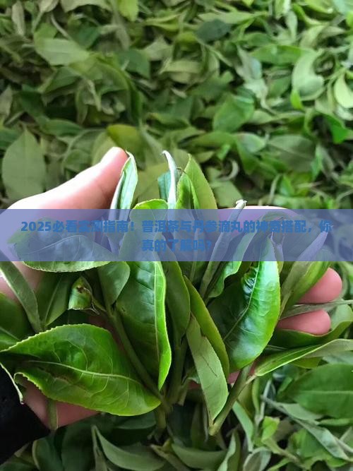 可以用普洱茶喝丹参滴丸
