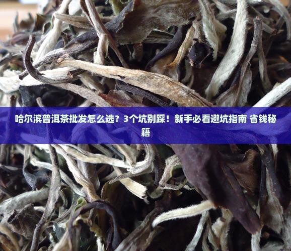 哈尔滨普洱茶批发