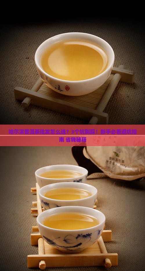 哈尔滨普洱茶批发