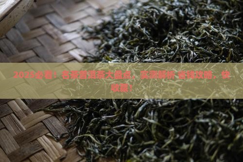 名茶普洱茶有哪些