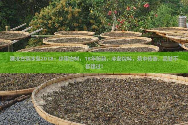 澜沧古茶冰岛2018