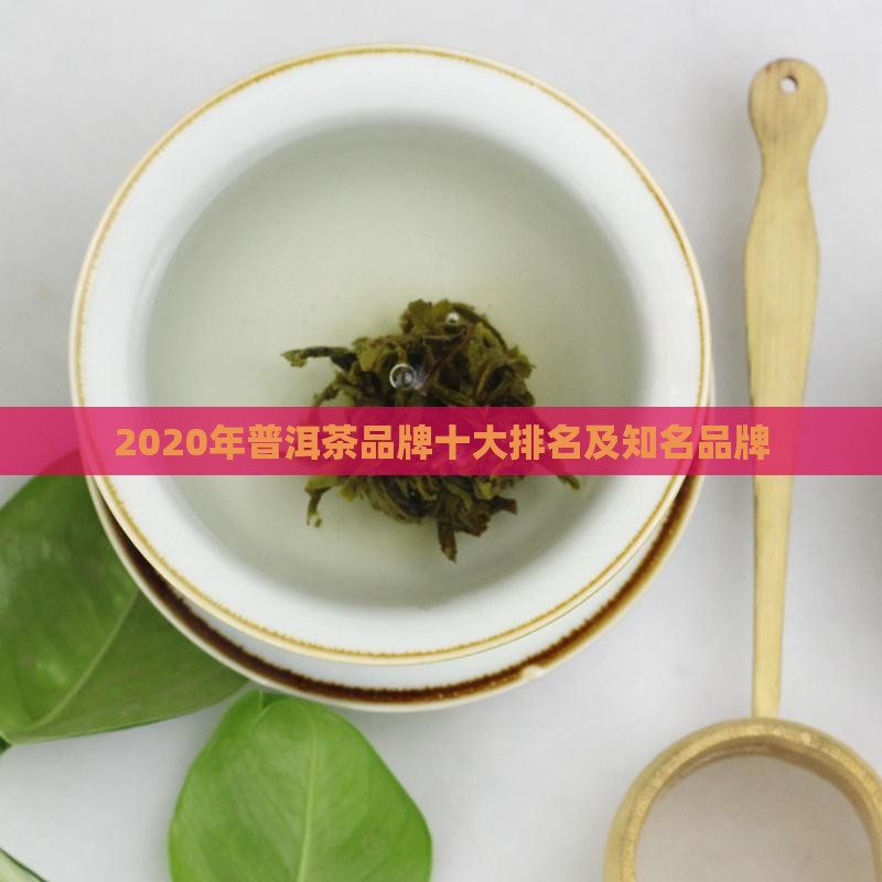 2020年普洱茶品牌