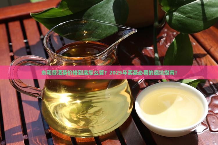东和普洱茶价格