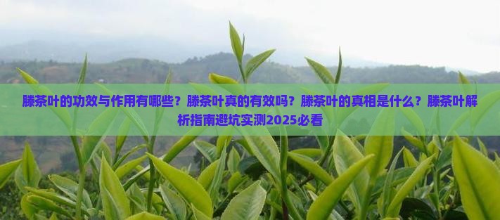 滕茶叶的功效与作用