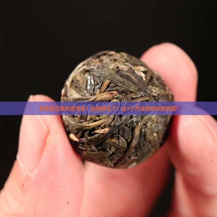 我想看正宗的普洱茶