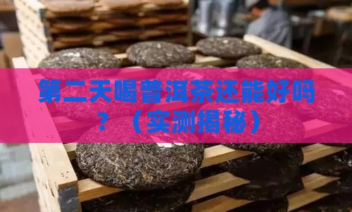 普洱茶第二天喝可以吗