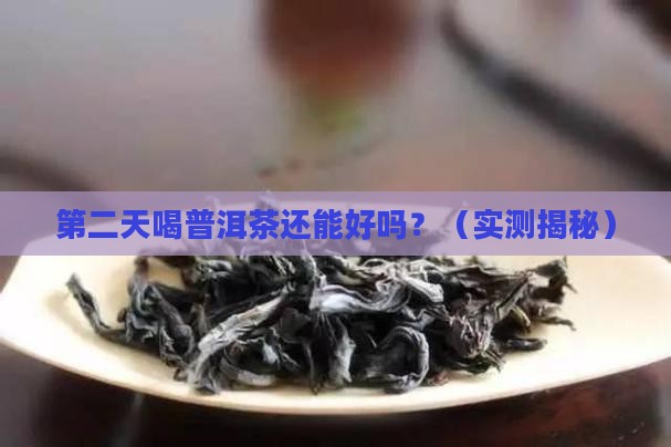 普洱茶第二天喝可以吗