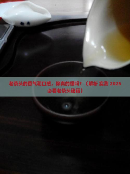老茶的香气有哪些老茶头口感描述