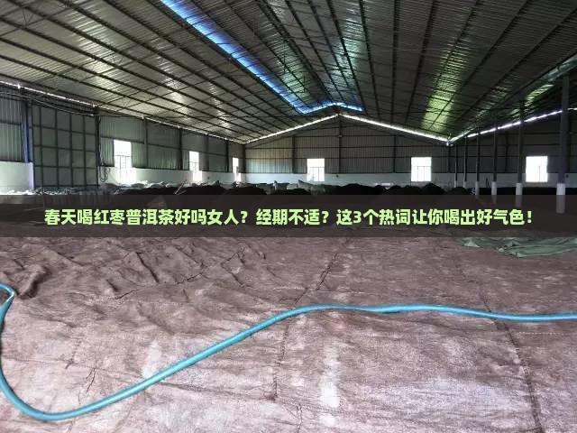 春天喝红枣普洱茶好吗女人