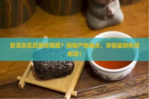 普洱茶区是在哪里