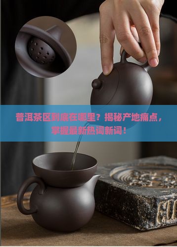 普洱茶区是在哪里