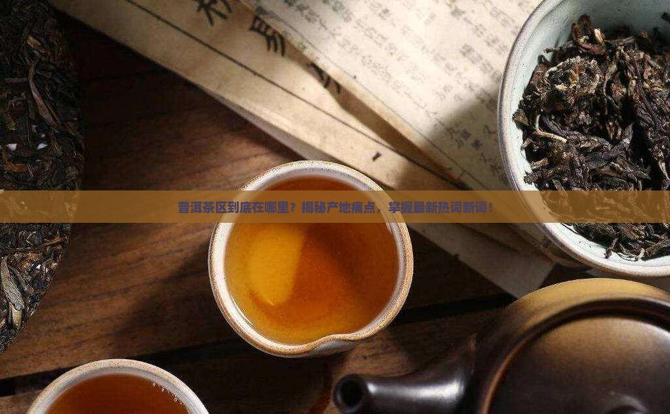 普洱茶区是在哪里