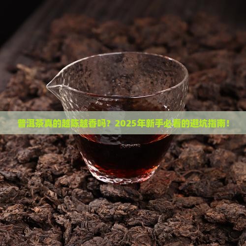 普洱茶越老越好嘛