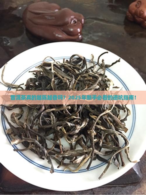 普洱茶越老越好嘛