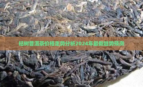 枯树普洱茶价格走势分析