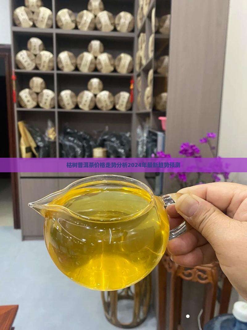 枯树普洱茶价格走势分析