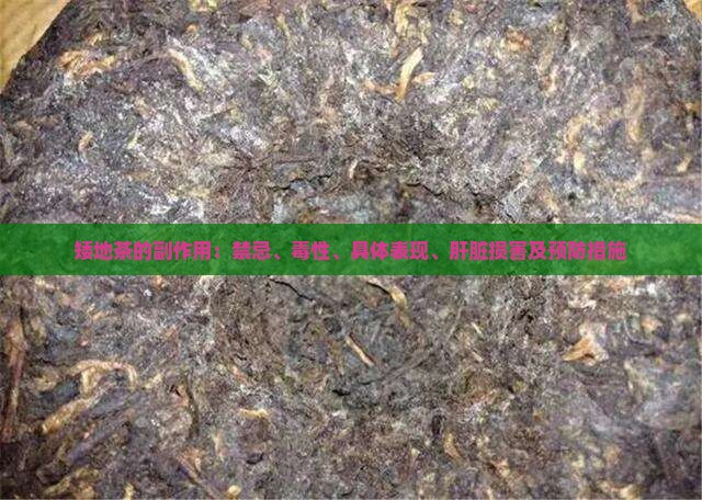 矮地茶的副作用