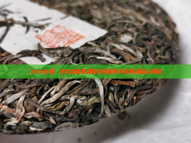 古树龙珠普洱茶价格