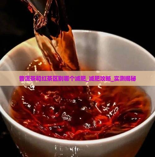 普洱茶和红茶区别哪个减肥
