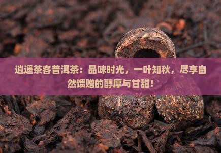 逍遥茶客普洱茶