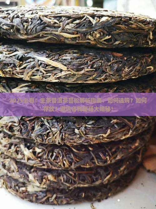 生茶普洱茶蔓松