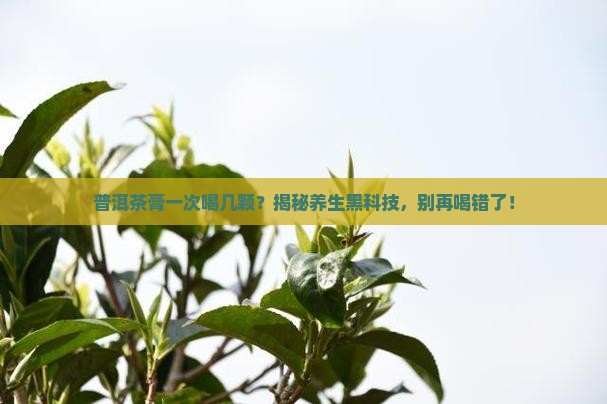 普洱茶膏一次喝几颗