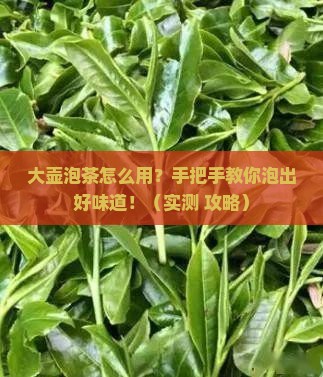 大壶泡茶怎么使用