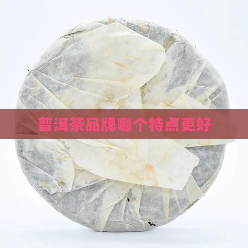各个品牌的普洱茶特点