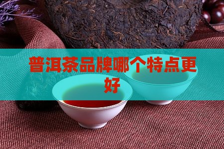 各个品牌的普洱茶特点