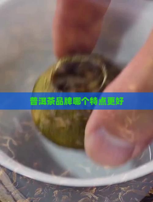 各个品牌的普洱茶特点