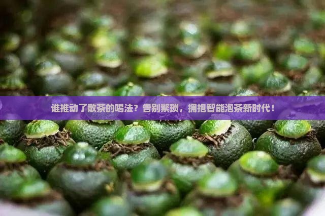 谁推动了散茶的喝法
