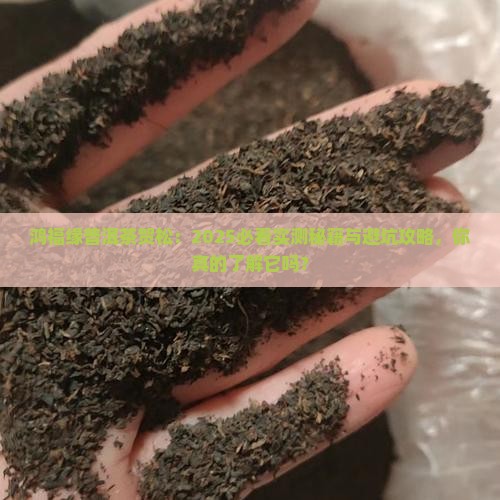 鸿福缘普洱茶贺松