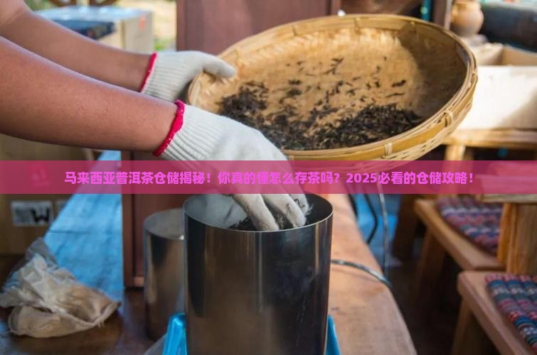 马来西亚普洱茶仓储