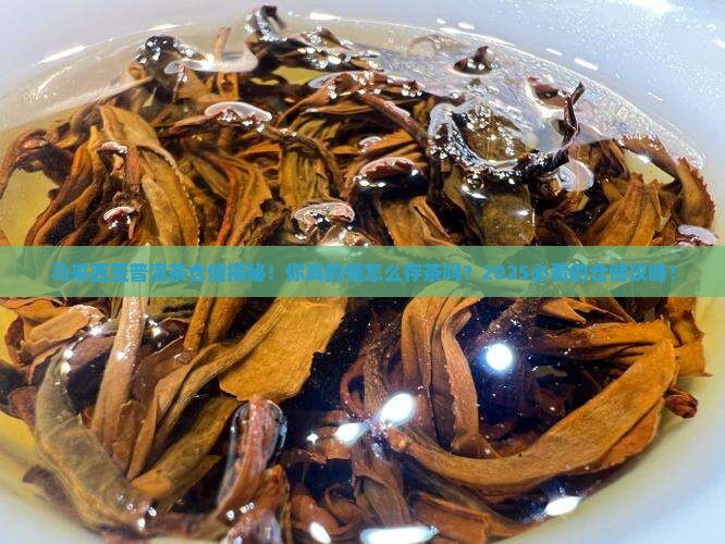 马来西亚普洱茶仓储