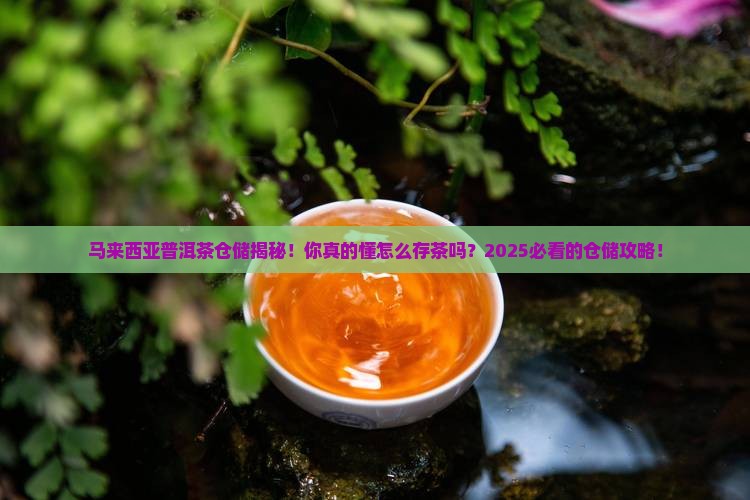 马来西亚普洱茶仓储