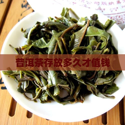 普洱茶多少年才值钱