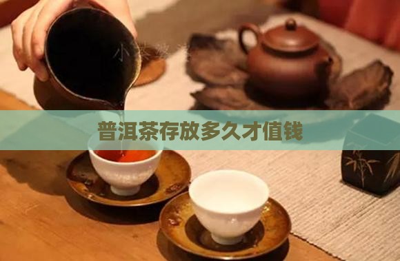 普洱茶多少年才值钱