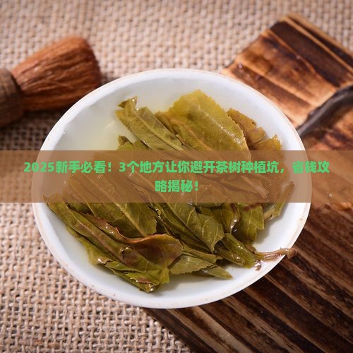 茶的生长条件地理