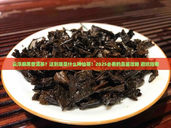 云淳麻黑普洱茶