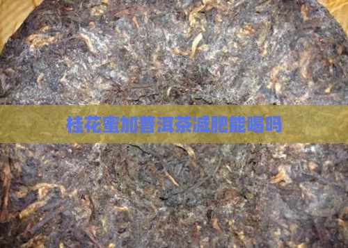 桂花蜜加普洱茶减肥能喝吗