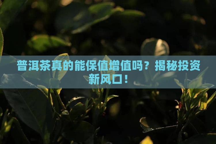 普洱茶的保值增值