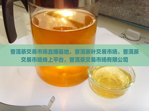 普洱茶交易市场直播基地