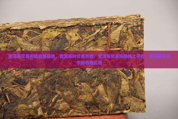 普洱茶交易市场直播基地