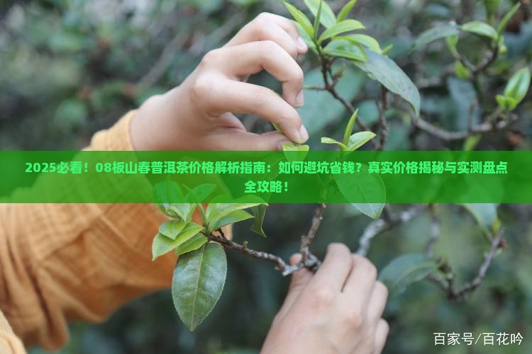 08板山春普洱茶价格