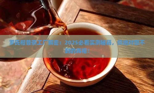 罗氏柑普茶工厂