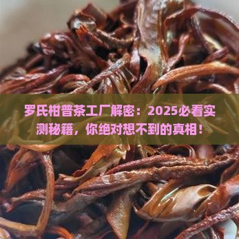 罗氏柑普茶工厂