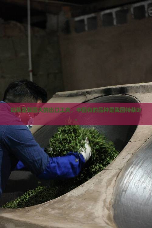 红茶是我国最大的出口茶